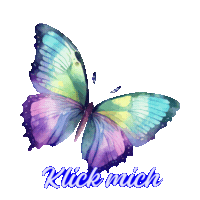 Medium Amilia - Schmetterling